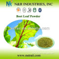 Herbal Powder Supplier Beet Powder or Beet Juice Powder from Leaf